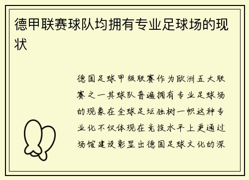 德甲联赛球队均拥有专业足球场的现状